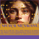 Around the Envato Office - Highfive!