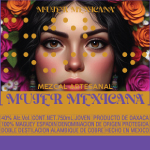 Around the Envato Office - Highfive!