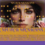 Around the Envato Office - Selina